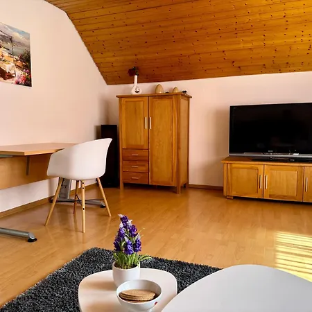 Business-apartment Braun Daire *